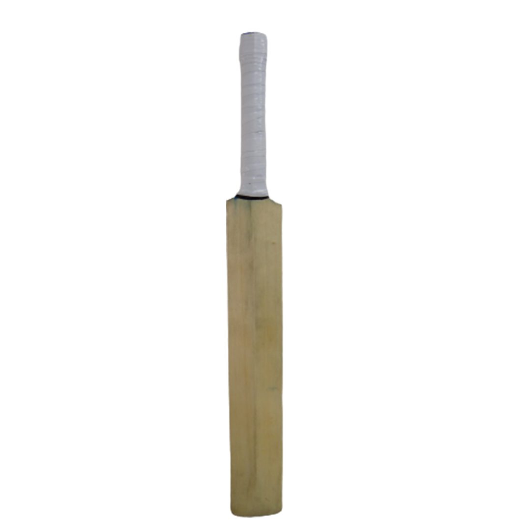 Cricket Miniature Bat