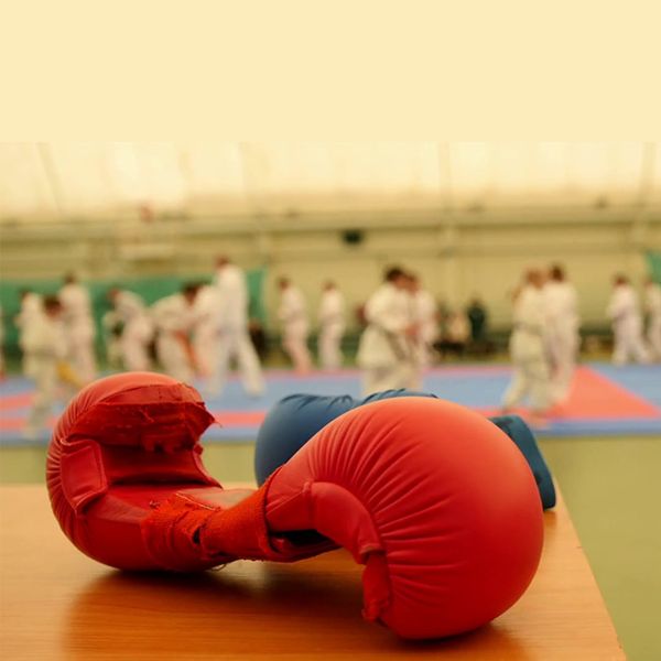 Grip Karate Mitts