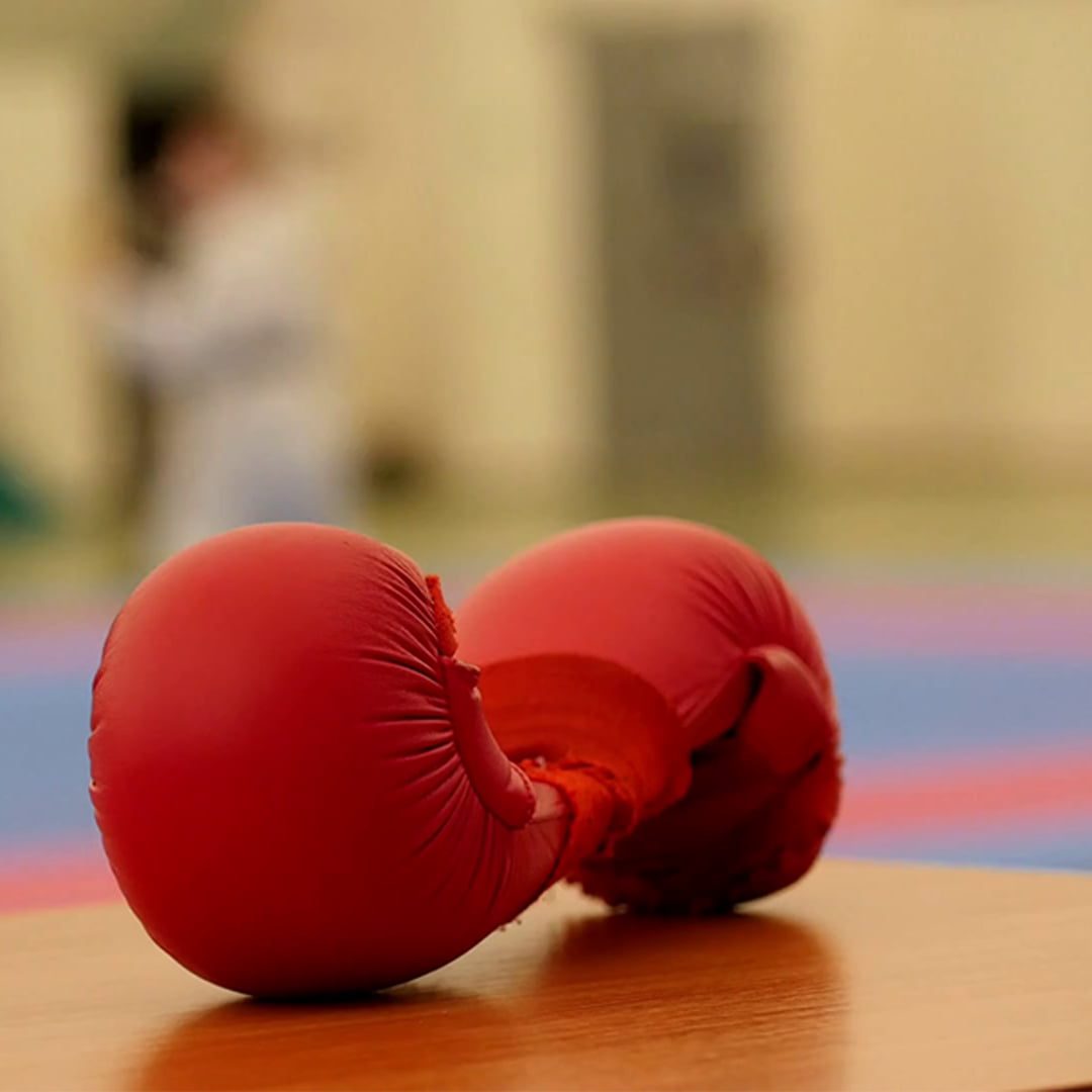 Grip Karate Mitts