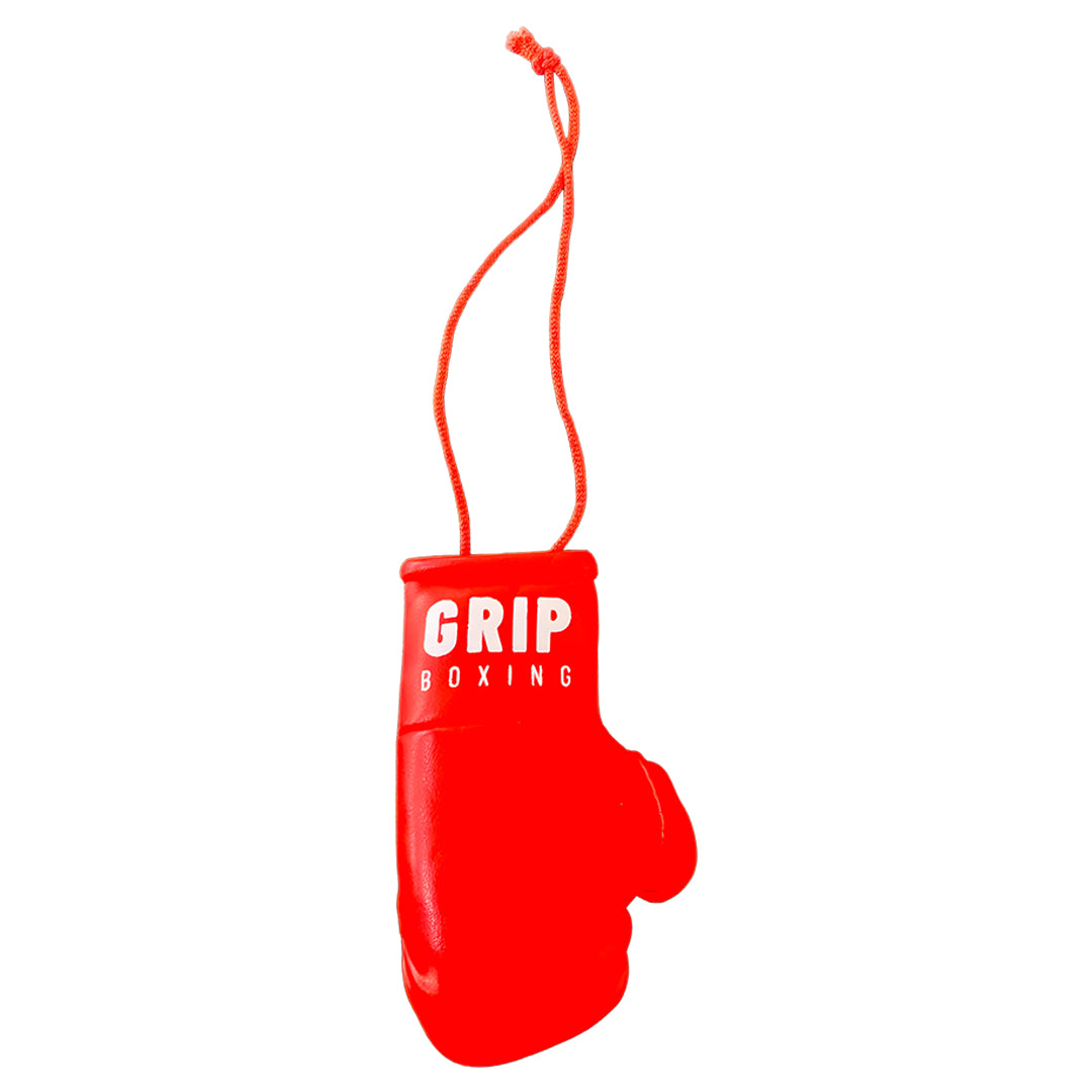  Grip Boxing Car Hanging Gloves