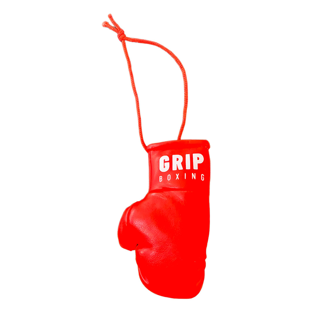  Grip Boxing Car Hanging Gloves