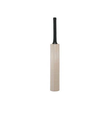 Cricket Miniature Bat